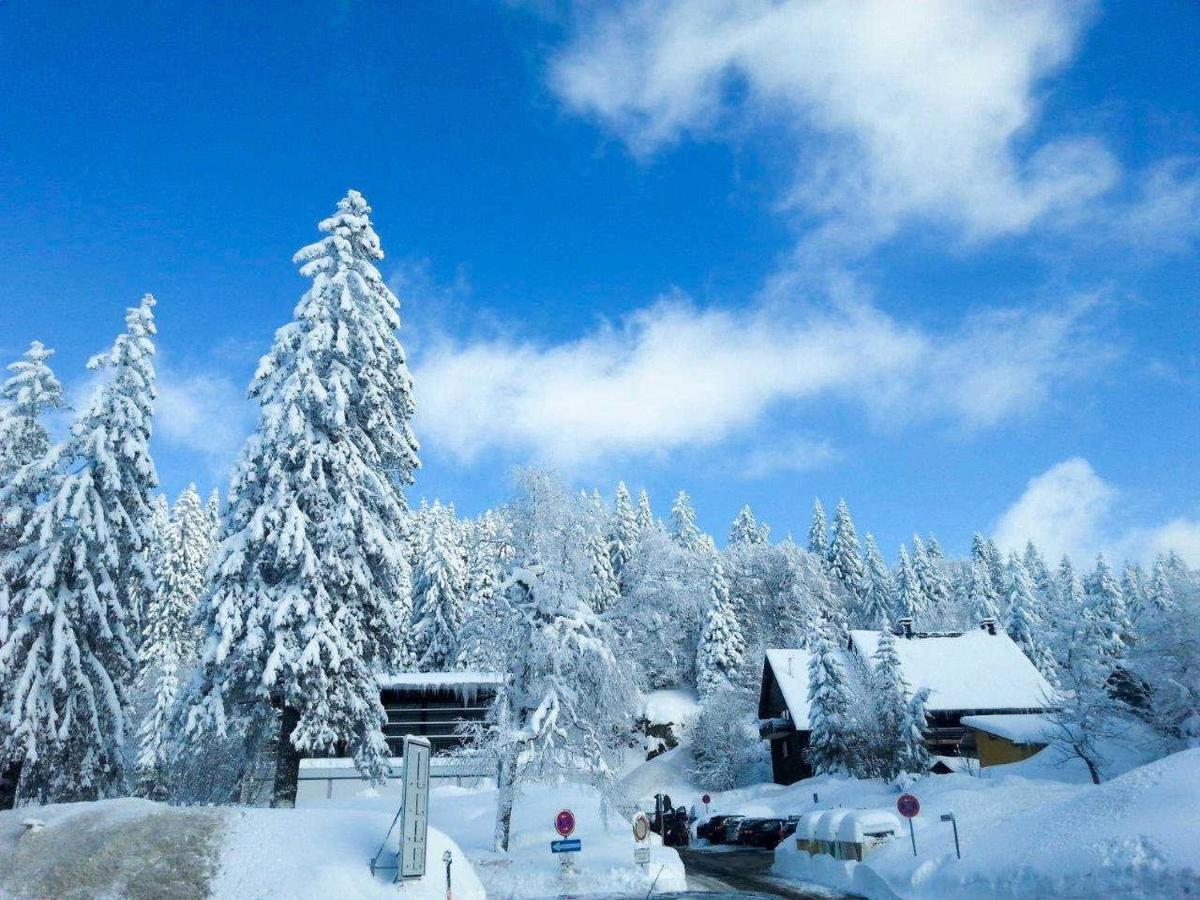 Apartament H&P Touristik Residenz Grafenmatt Gra-3-1 Feldberg  Zewnętrze zdjęcie